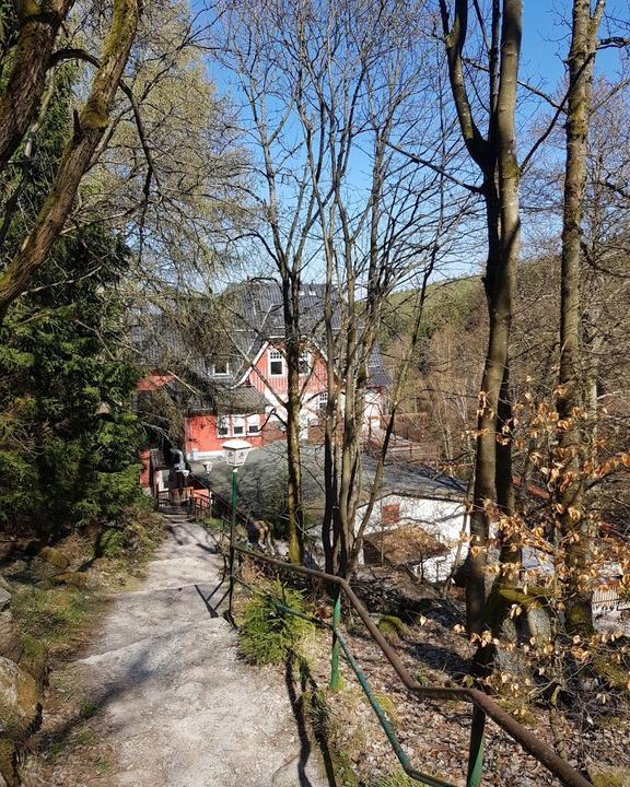 Waldgasthaus und Hotel Steinerne Renne