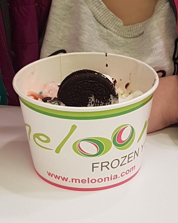 meloonia Frozen Yogurt